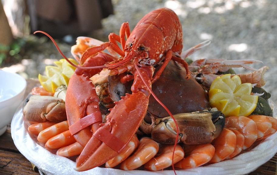 paleo diet for weight loss
