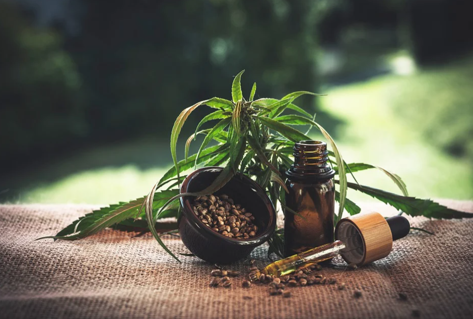 marijuana leaves and CBD oil